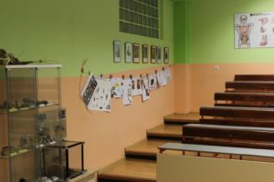 Trieda - ZŠ Pri kríži