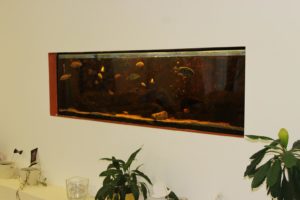 Akvárium v priestoroch základnej školy Pri kríži